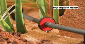 Drip Irrigation Market: Growth Trajectory Set at 8.67% CAGR Through 2028