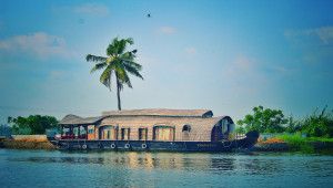 Kerala Backwaters Adventure - Discover Lush Landscapes and Tranquil Waters