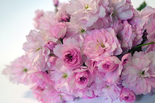 Birthday Invitation Wording Ideas and Templates for Adults and Kids