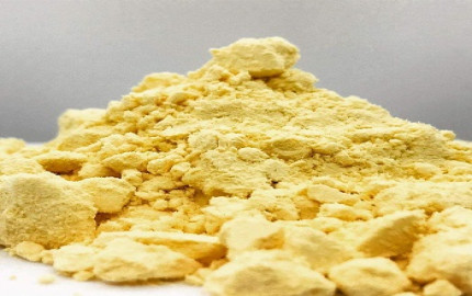 Egg Yolk Powder Manufacturing Plant Project Report: In-Depth Project Overview, Required Raw Materials and Cost Involved