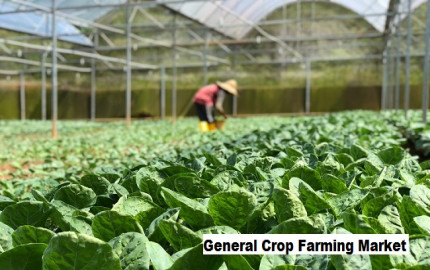 Seizing Growth Opportunities: Market Analysis for General Crop Farming