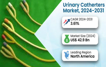 Urinary Catheters Market In-Depth Insights, Growth and Forecast 2031