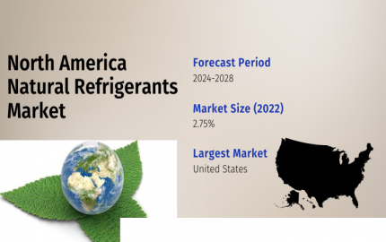 North America Natural Refrigerants Market Trends- Navigating the Path to Sustainable and Effective Solutions