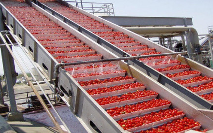 Tomato Paste Manufacturing Plant Setup Report: Unit Operations, Raw Material and Utility Requirements