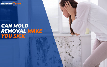 Can mold removal make you sick