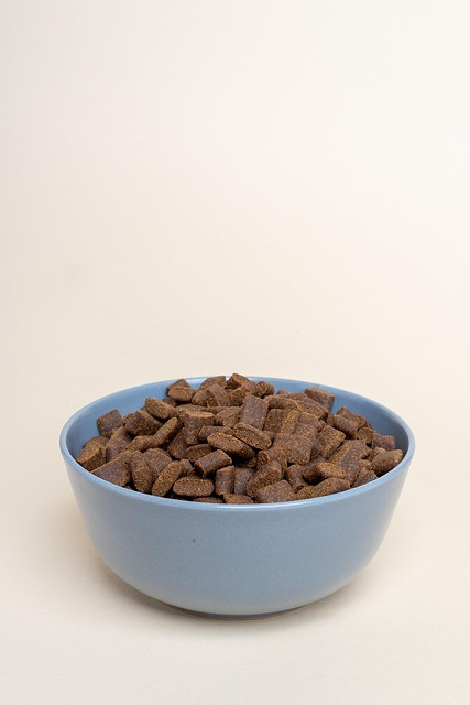 Practical Dog Food Calculator by Weight: Portions, Calories, and Adjustments