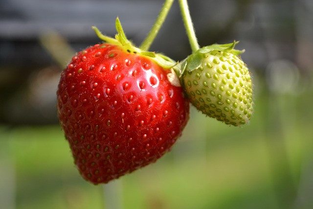 Webflow vs Wix: How to Choose the Best Website Builder for Your Project