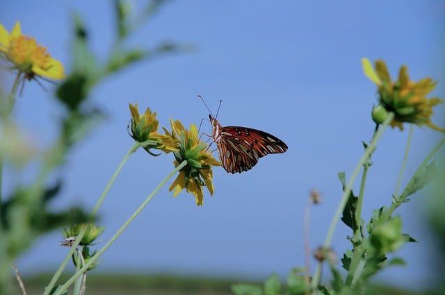 كل همسات المشاعر في نوالك شوفني وارحم ويرحم والدينك