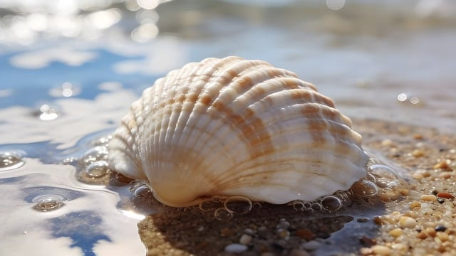 كلمات اغنية استنى يابا مصطفى عنبة