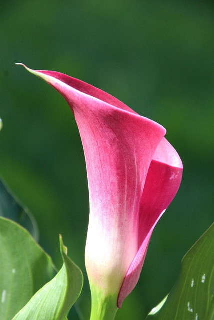 Content Marketing Funnel: How TOFU, MOFU & BOFU Drive Conversions