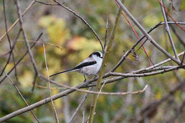 Practical Guide to SEO Tools for Beginners: Choose, Use, and Measure