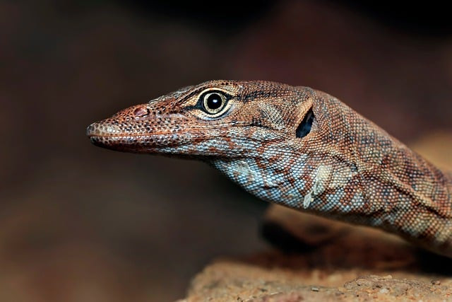 How to Scale Content Production: A Practical Framework and Checklist