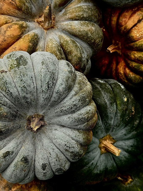 HACCP Plan Template and 7-Principle Implementation Guide for Food Safety