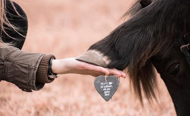 Zero Trust Security Model: Practical Guide to Trust Nothing, Verify Everything