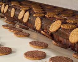Biscuit Manufacturing Plant Project Report 2024: Manufacturing Process, Plant Setup and Business Plan 2028