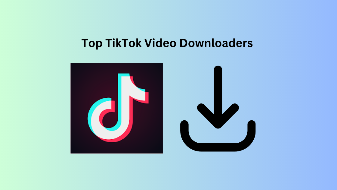 Top 10 TikTok Video Downloaders [2024]