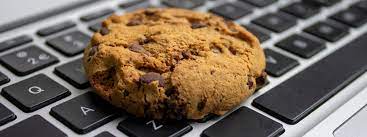 How to use Premium Cookies? Are they Safe?