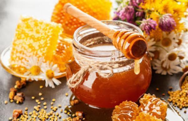Honey Manufacturing Plant Project Report: Raw Materials, Plant Setup and Machinery Requirements | Syndicated Analytics