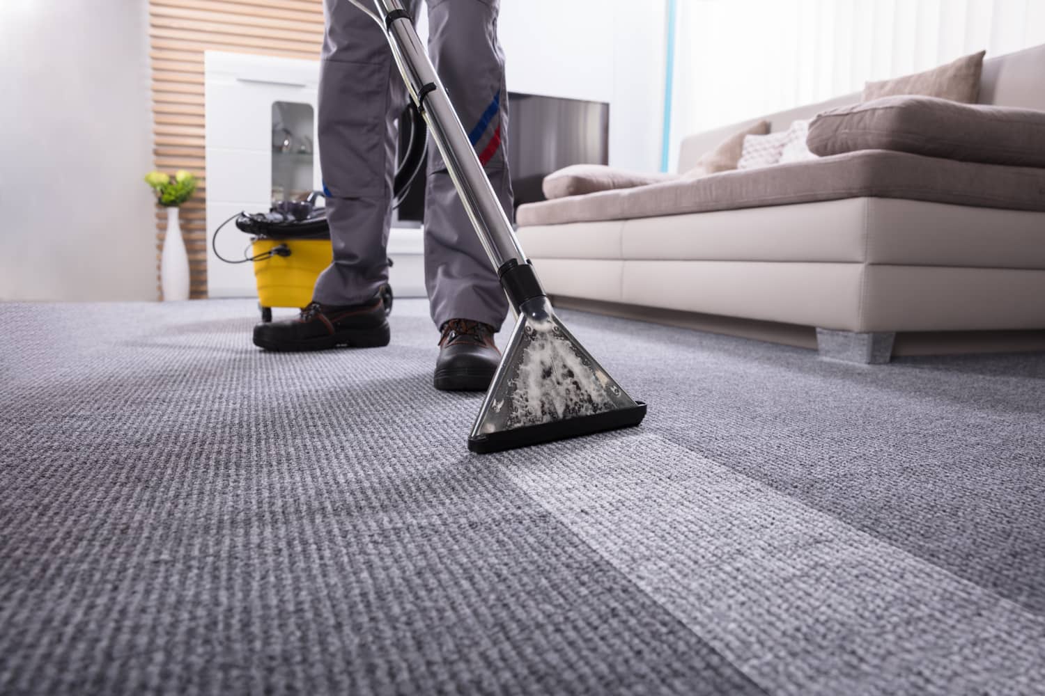 Premium Carpet Cleaning with Eco Dry Floor Care: Your Local Low Moisture Carpet Cleaning Experts