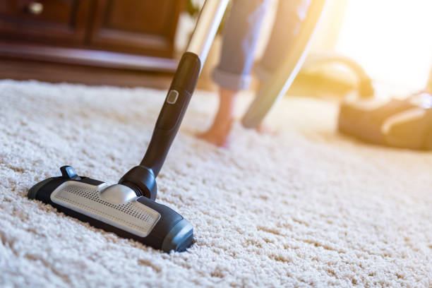 Carpet Care Dilemma: Is It Time for a Professional Cleaner?