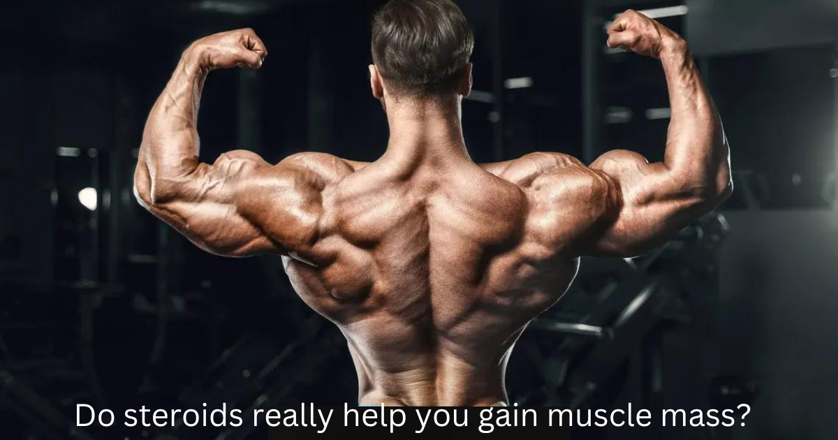 Do steroids really help you gain muscle mass?
