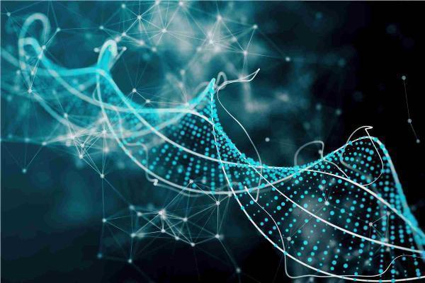 What are Biotinylation and Biotinylated PEG?