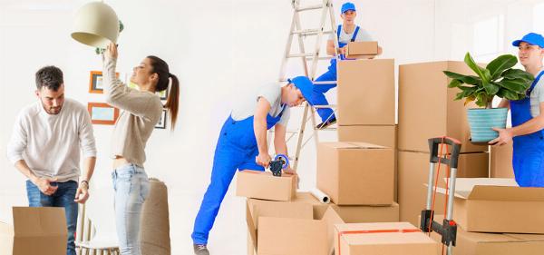 From Chaos to Order Office Packing Made Simple