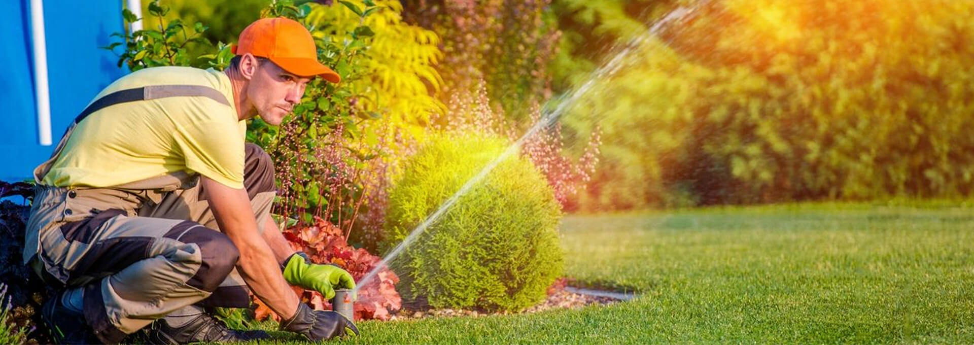 Lush and Lovely: Unraveling the Magic of Top Tier Lawn Maintenance Services
