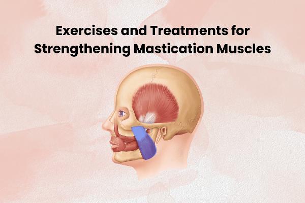 Exercises and Treatments for Strengthening Mastication Muscles