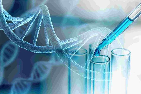 Exploration of Terpenoid Biosynthesis in Filamentous Fungi