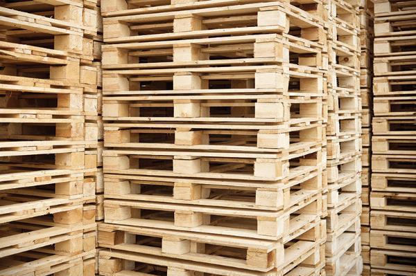India Pallet Market Statistics and Research Analysis Detailed in Latest Research Report to 2024-28
