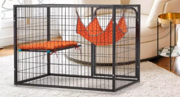 Outdoor Cat Enclosure & Catio as Paradise for Your Feline Companion