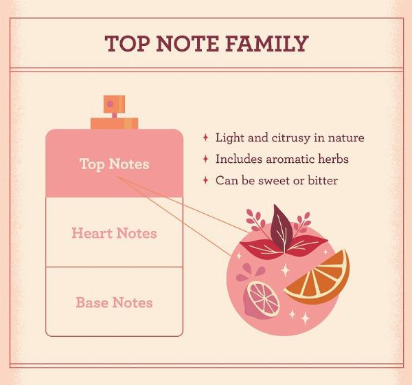 Understanding Fragrance Notes: A Guide to Finding Your Ideal Scent