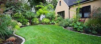 Garden Maintenance in Dubai