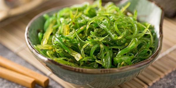 Seaweed Market Trends, Share, Size, Growth Drivers, and Forecast 2024-2032