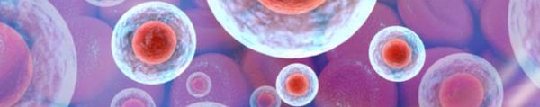 Mechanistic Target of Rapamycin Research in Diabetes and Metabolism