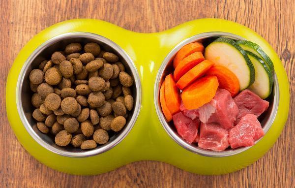 Establishing a Profitable Pet Food Manufacturing Plant: Project Report 2024, Business Plan