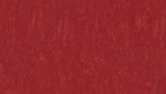 Carmine Market Size, Share, Growth Opportunities and Business Statistics 2024-2032