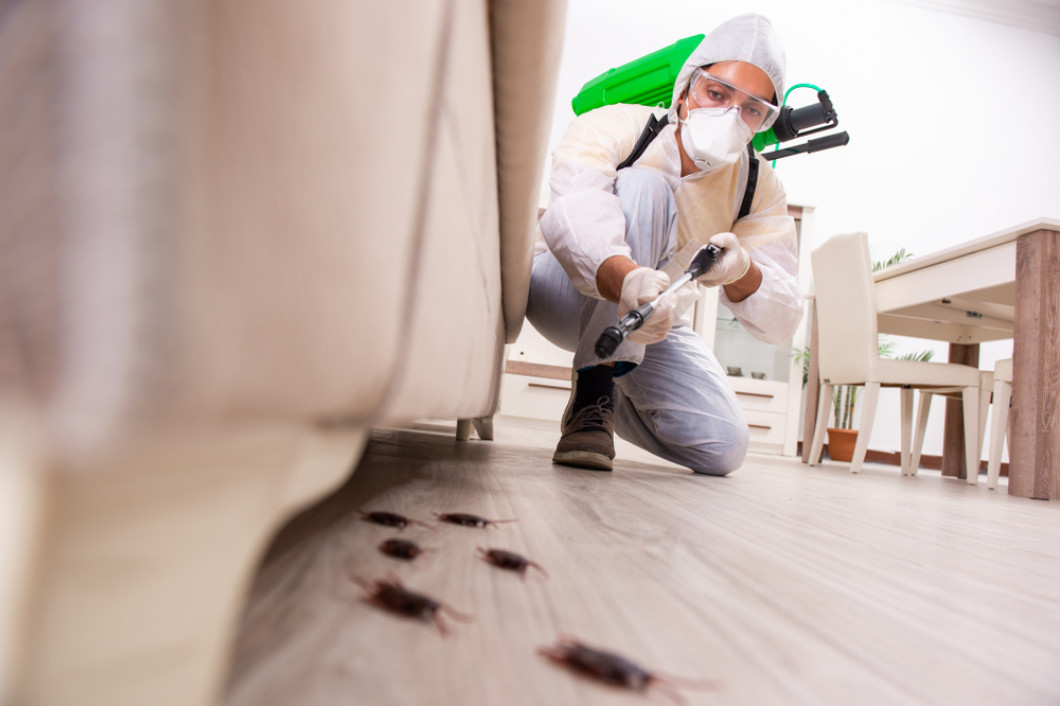 The Importance of Professional Commercial Pest Control Services