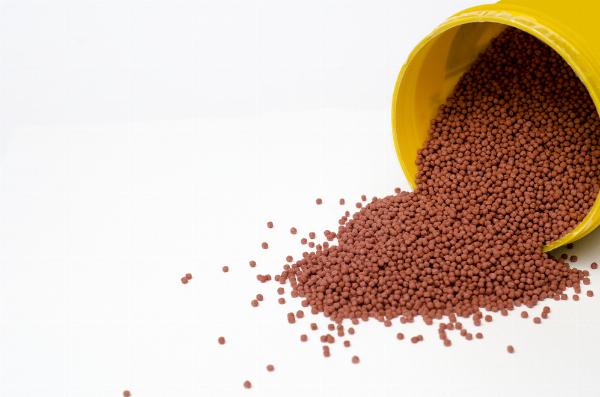 Ethoxyquin Market Size, Share, and research Report 2024-2032
