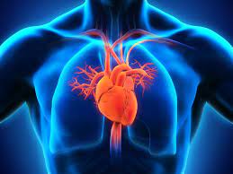 Heart Failure Market Size, 2024 Analysis, Industry Trends and Forecasts to 2034