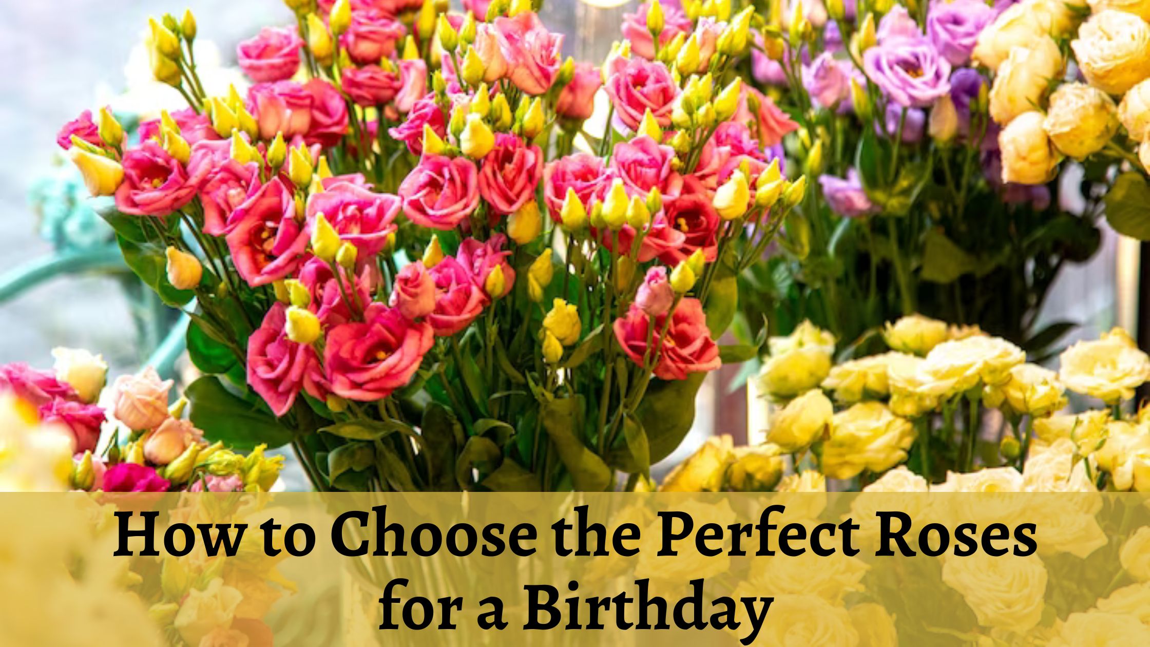 How to Choose the Perfect Roses for a Birthday