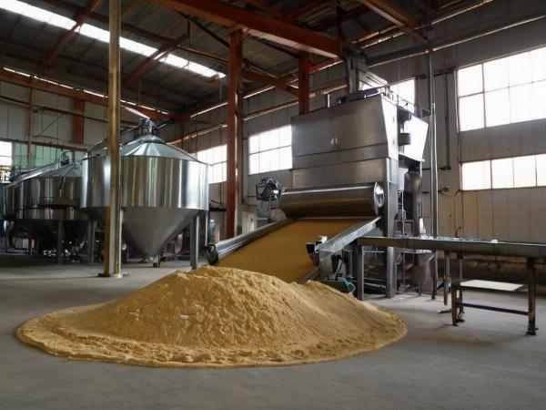 Wheat Flour Processing Plant Project Report 2024: Machinery and Raw Materials