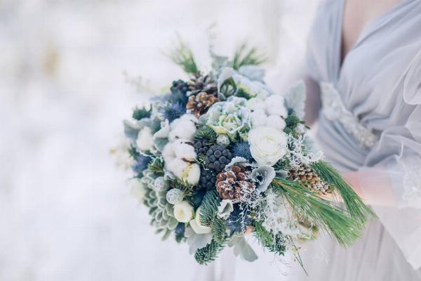 The Best Winter Flowers for a Colorful Home