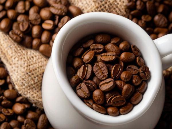 Instant Coffee Manufacturing Plant Project Report 2024: Raw Materials, Investment Opportunities, Cost and Revenue