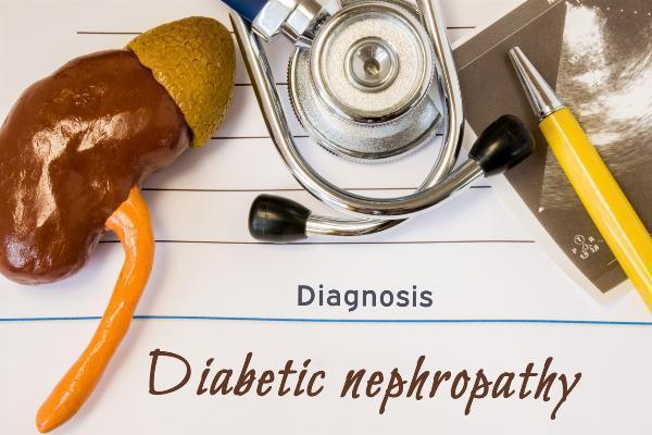Diabetic Nephropathy Market 2023 | Industry Demand, Fastest Growth, Opportunities Analysis and Forecast To 2032
