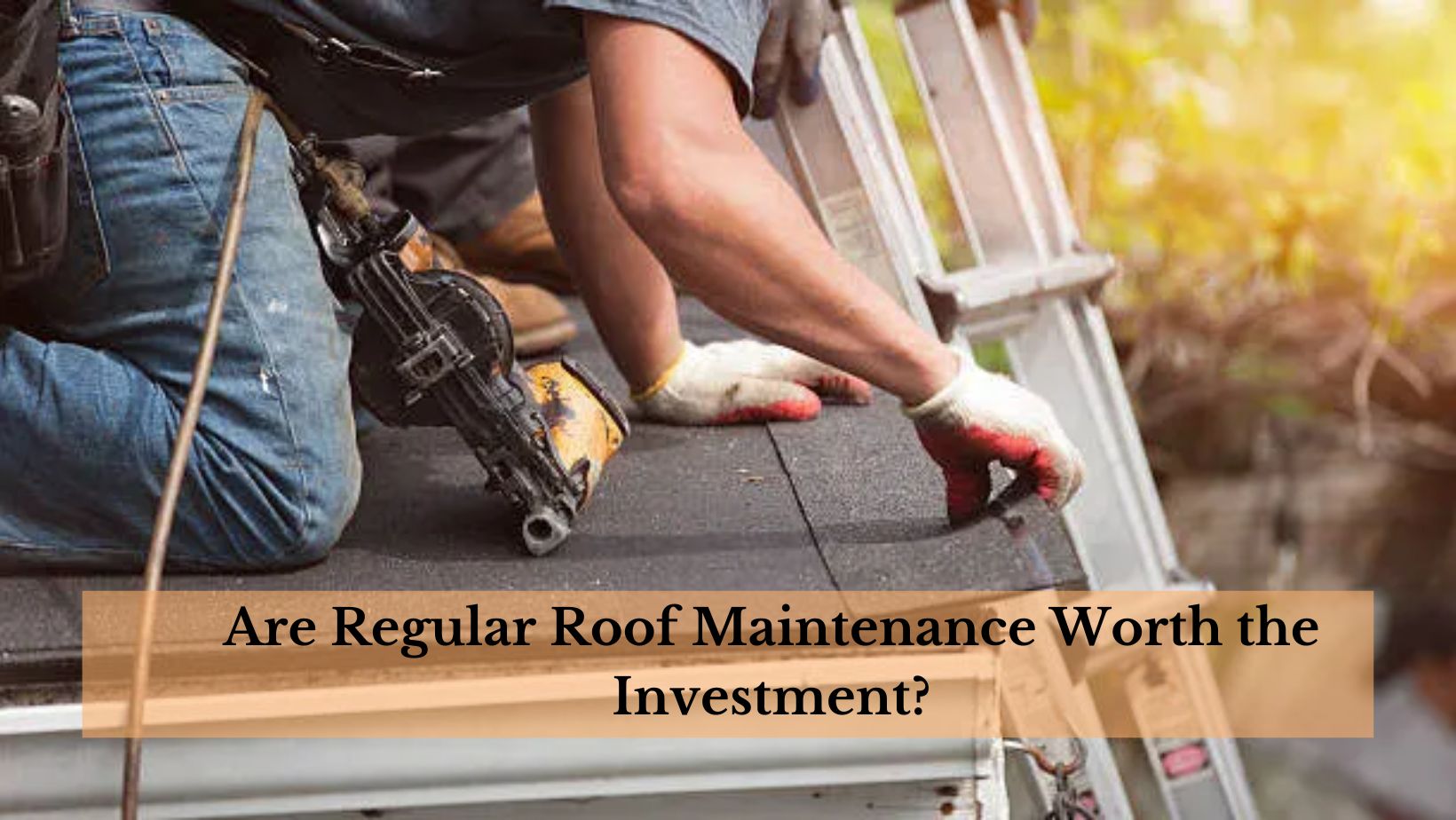 Are Regular Roof Maintenance Worth the Investment?