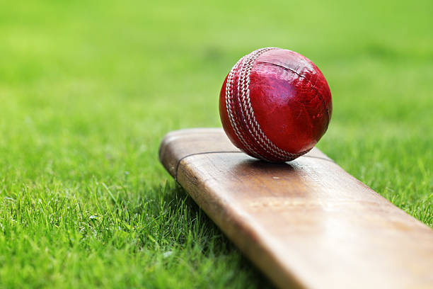 What Are the Key Metrics for Evaluating Bowlers in Cricket?