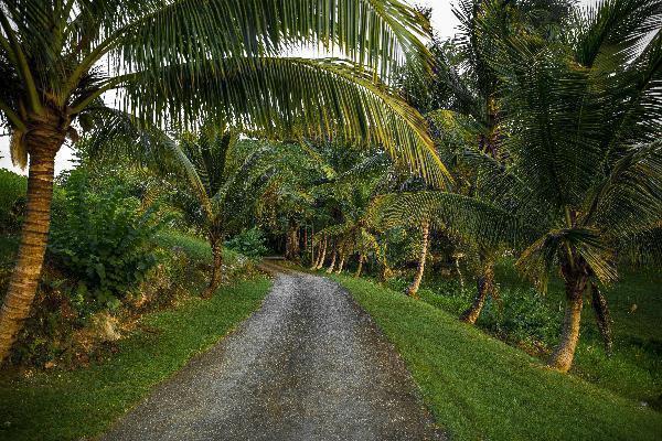 Is Jamaica Really Safe For Tourists? What You Need To Know