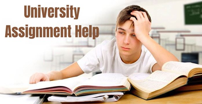 Maximizing Academic Success: A Comprehensive Guide to University Assignments Help